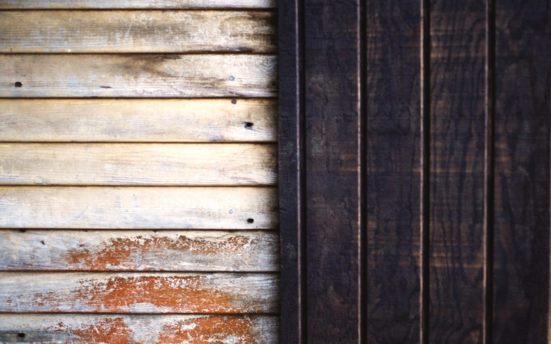 It’s Cottage Season Year-Round, with These Rustic Wallcoverings!