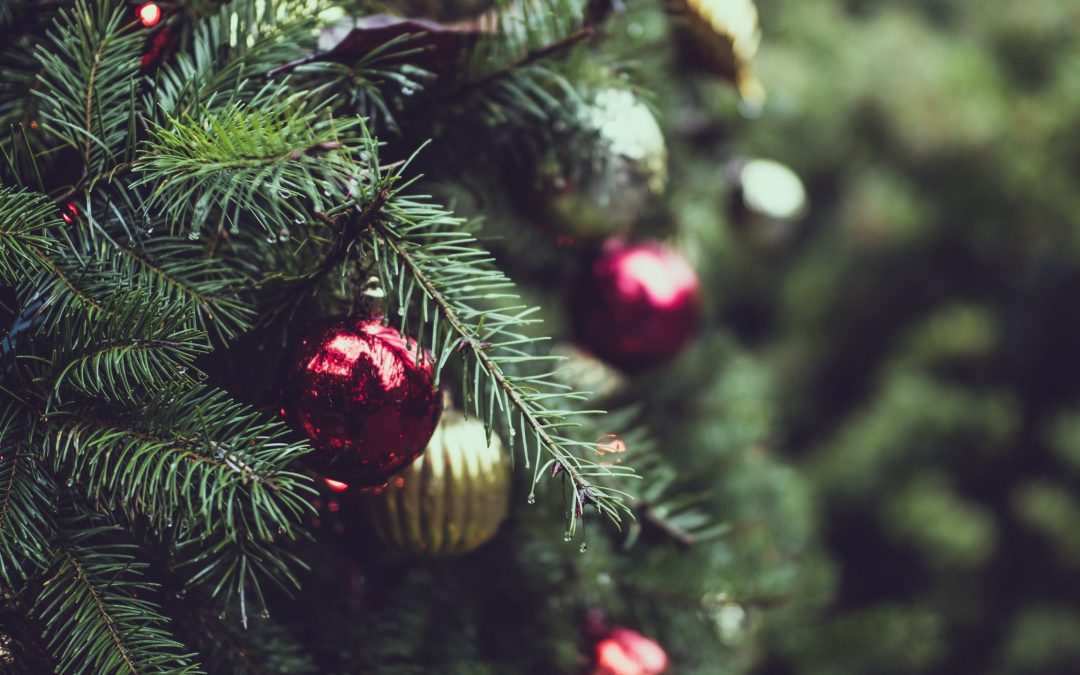An Eco-Friendly Xmas