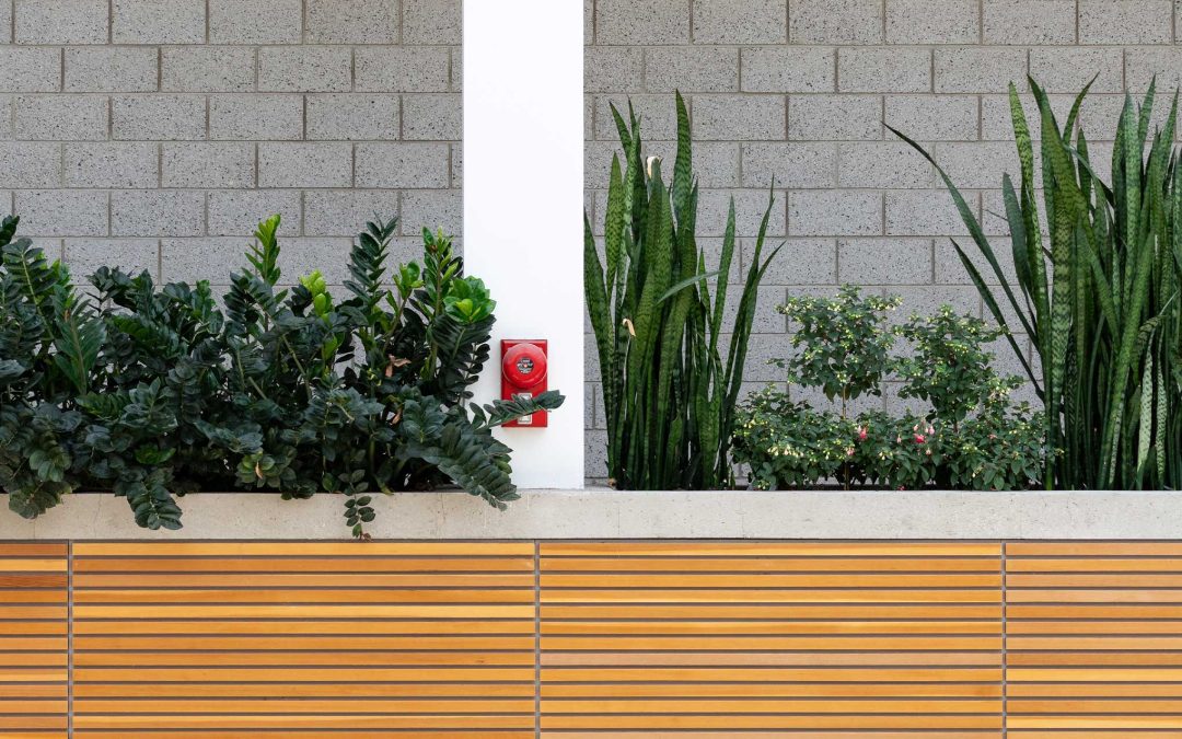 Urban Green Spaces: Window Sills to Rooftop Gardens
