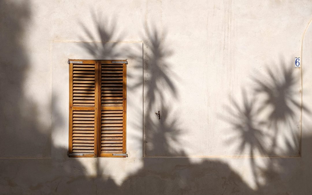 Woven Wood Shades